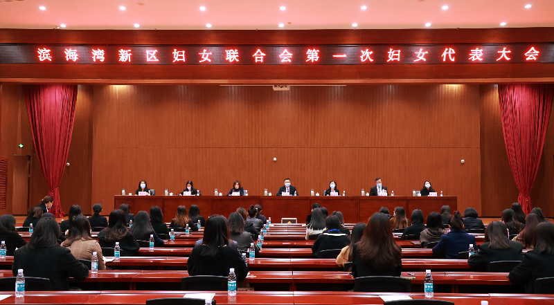滨海湾新区妇女联合会正式成立，并召开第一次妇女代表大会.JPG