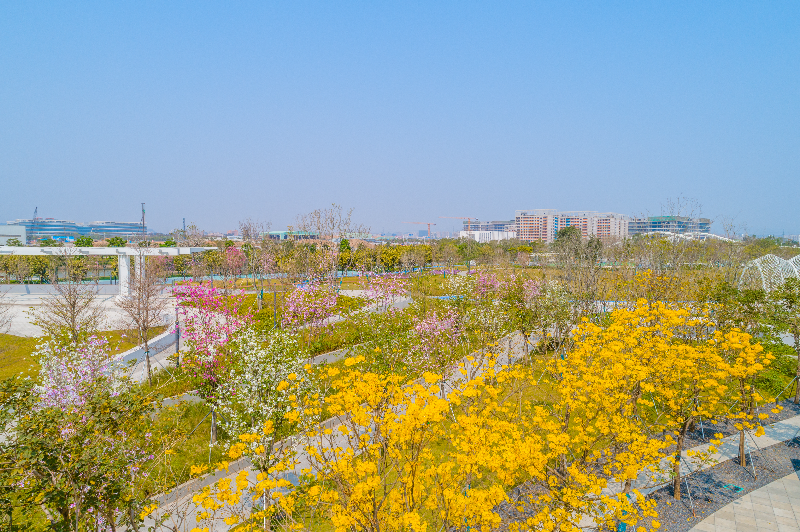 DJI_0350.jpg