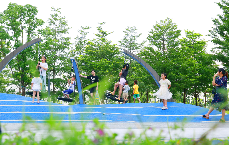 _N1_8615.jpg