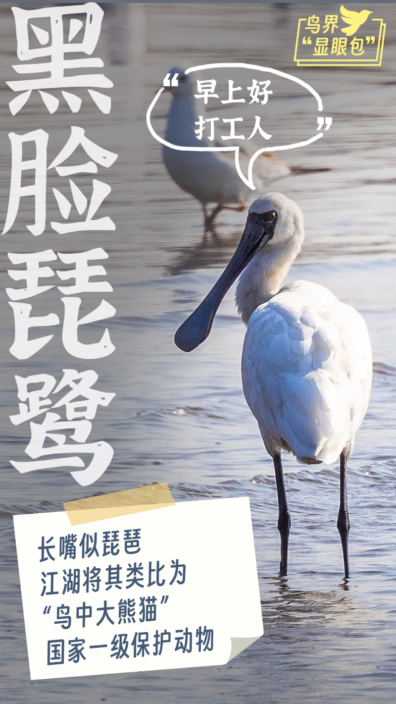 黑脸111.jpg