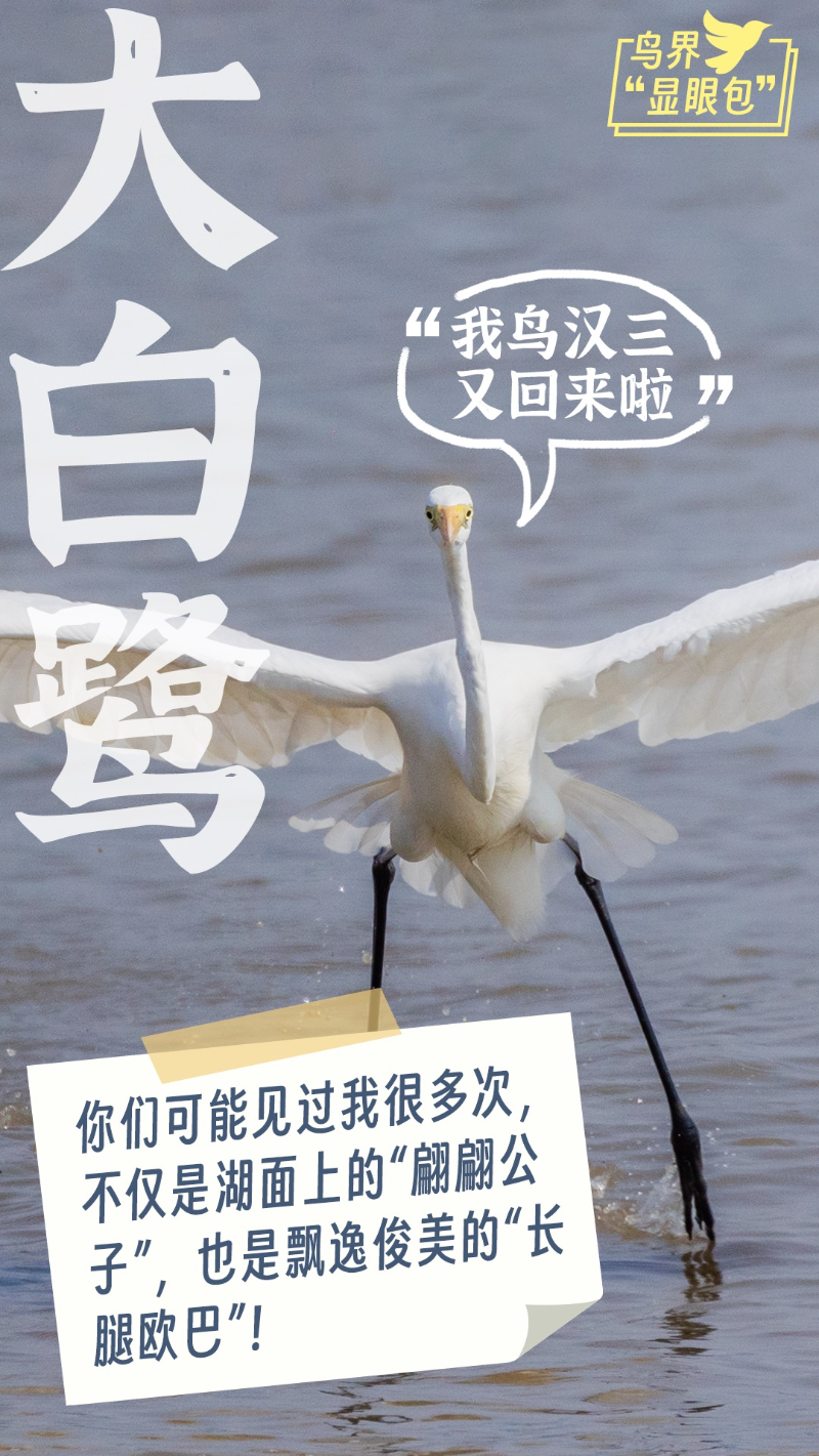 该2.jpg