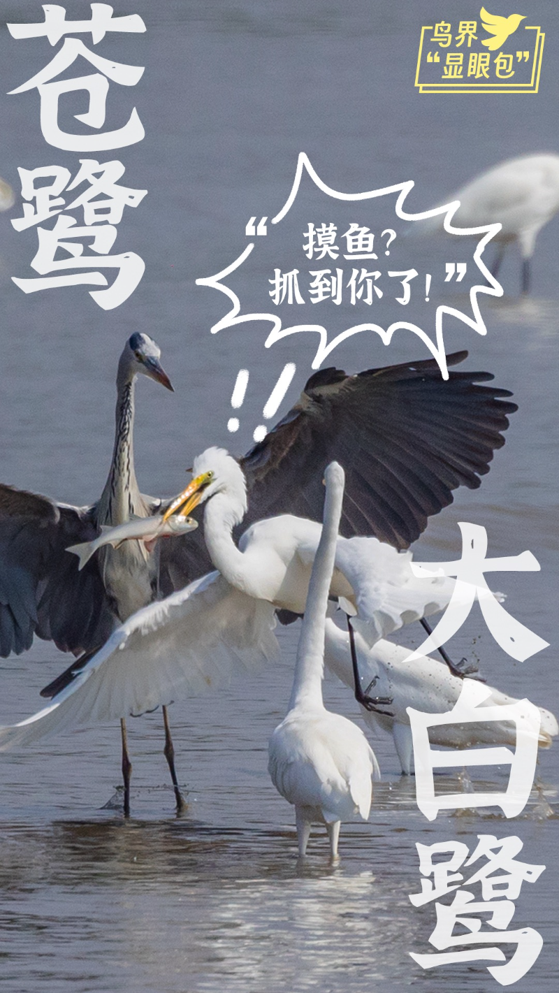 已编辑图片