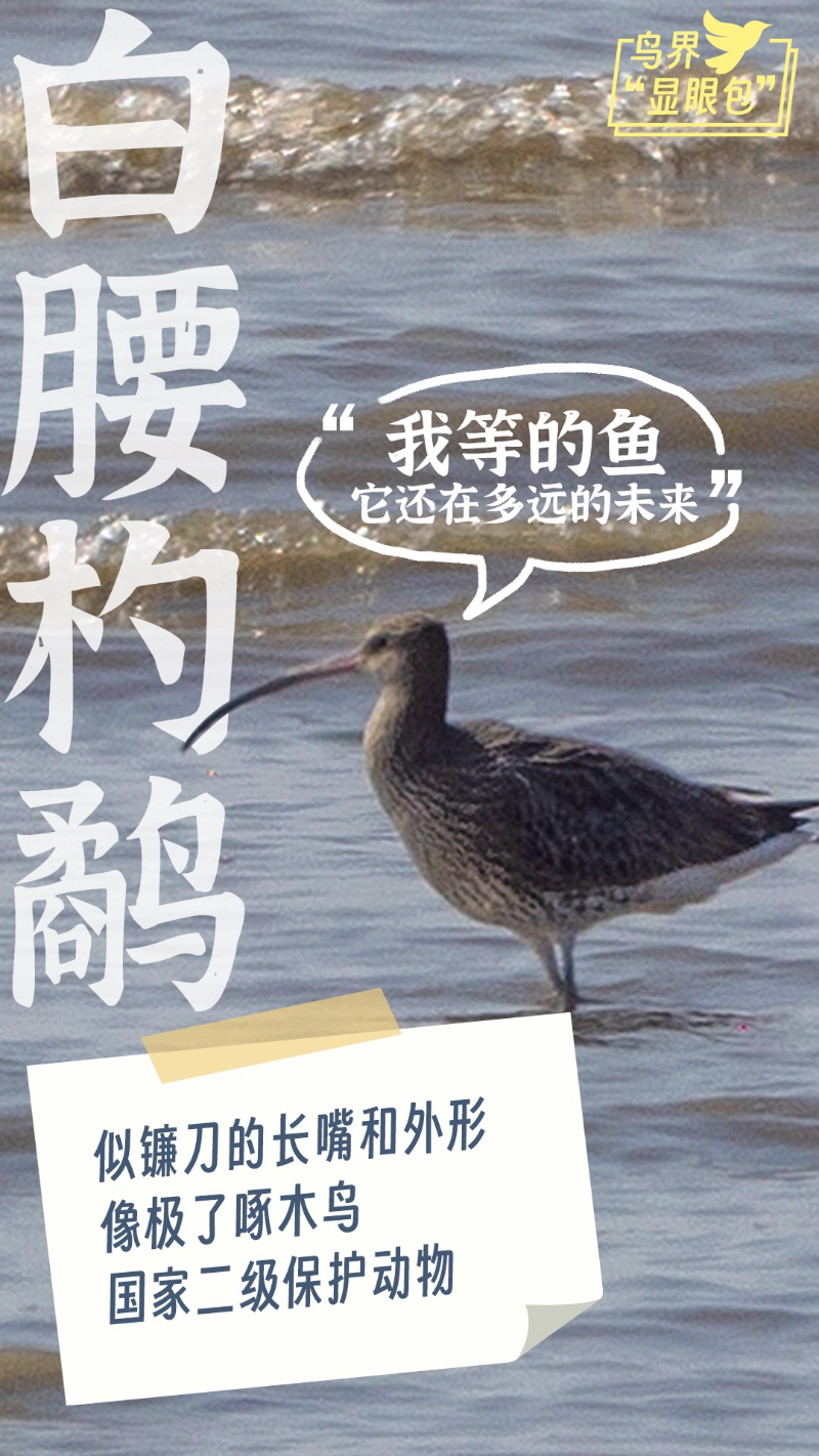 微信图片_20231128184732.jpg
