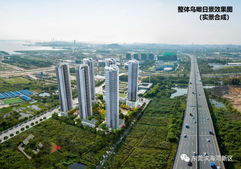 国际人才社区.png