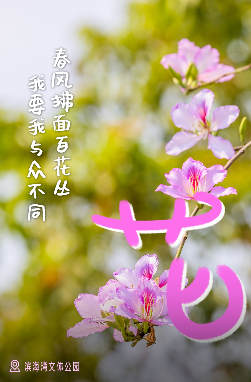 春风拂面百花丛.jpg