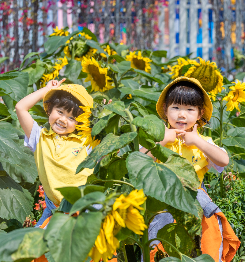 2024年3月20日,花海里向日葵与幼儿园小朋友HS__3409.jpg