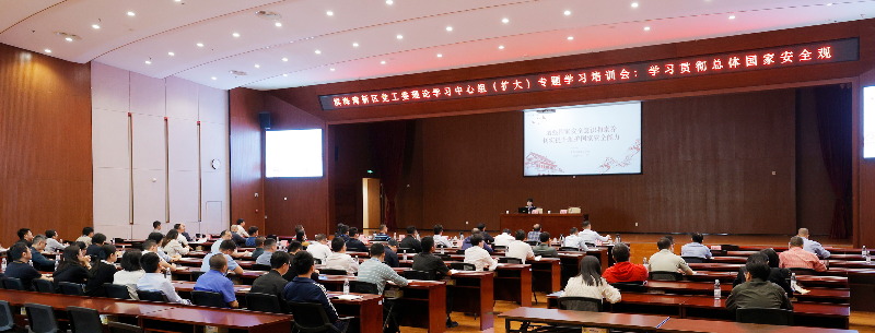 2024年4月11日，A208，滨海湾新区党工委理论学习中心组（扩大）专题学习培训会-学习贯彻总体国家安全观_X__2809.JPG