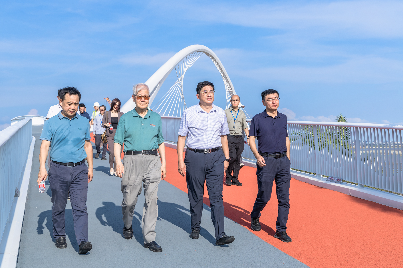 邓文中一行参观龙涌人行桥.jpg