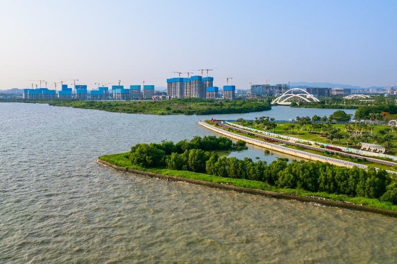 黄金海岸大草坪全景图.jpg