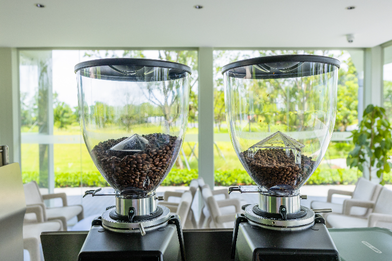 2024年6月25日，苗涌生态长廊WTLE HOUSE X KUDDO COFFEE蓝天白云通透HSA_2450.jpg