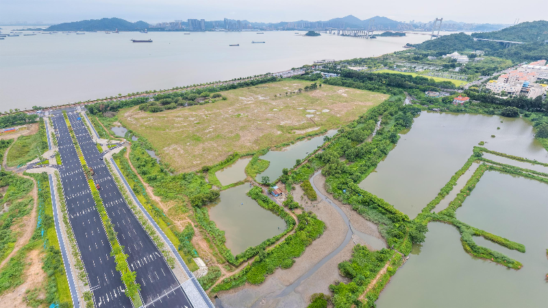 大学科技园南区启动区现状图.jpg