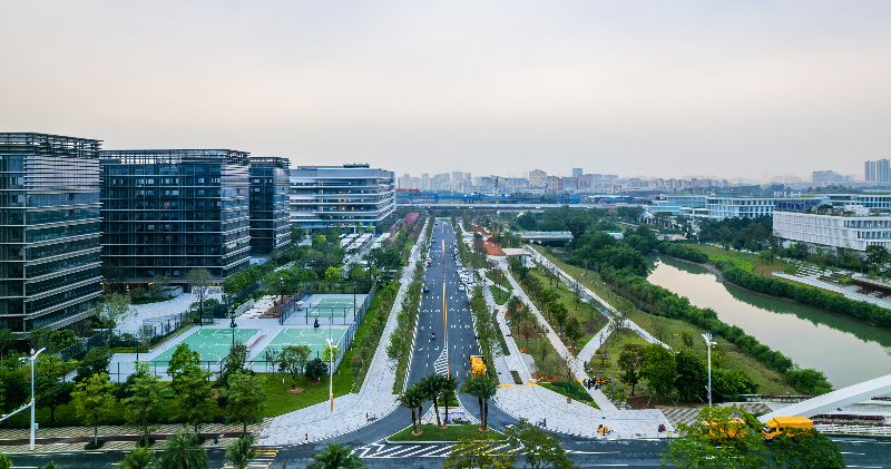2024年11月25日，沙涌西侧路DJI_0381.jpg