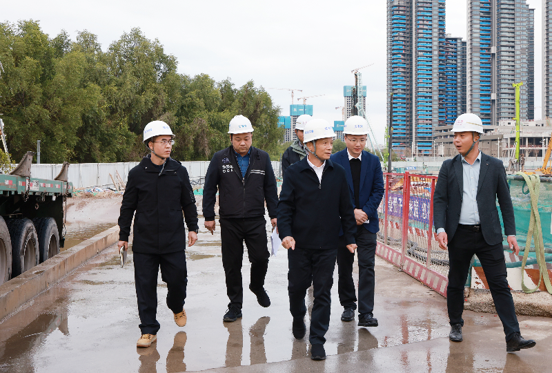 2025年2月7日，红海湾项目工地，罗斌书记带队督导安全生产2K9A6155.JPG