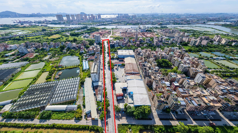 天培路（西段）道路现状位置.jpg