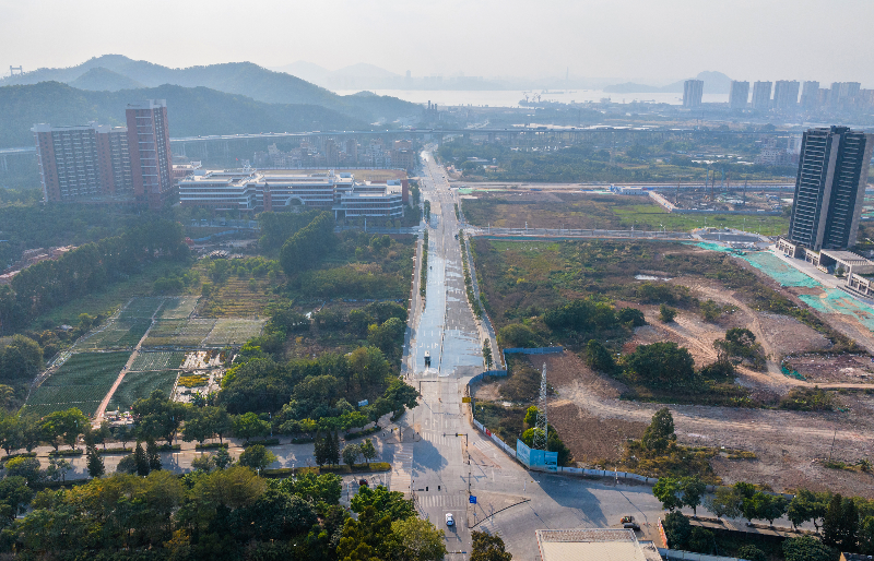 2025年1月21日，内环岛路西线DJI_20250121161231_0726_D.jpg