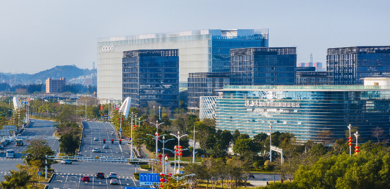 新区全景图.jpg