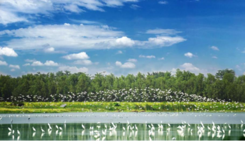 1.南沙湿地景区.png
