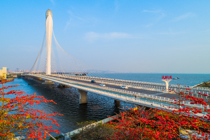 20230316滨海湾大桥与红木棉花-航拍相片-黄生摄DJI_0070.jpg