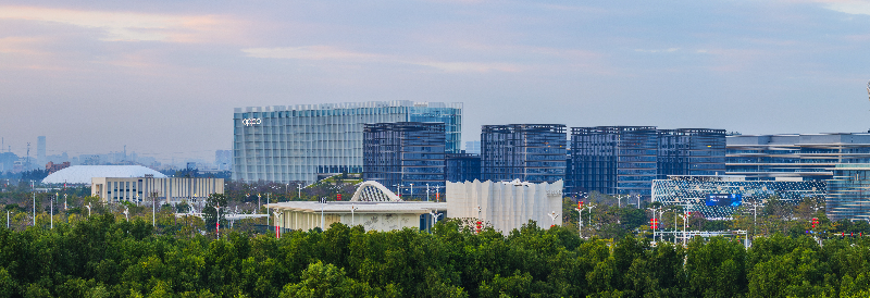 新区全景图.jpg