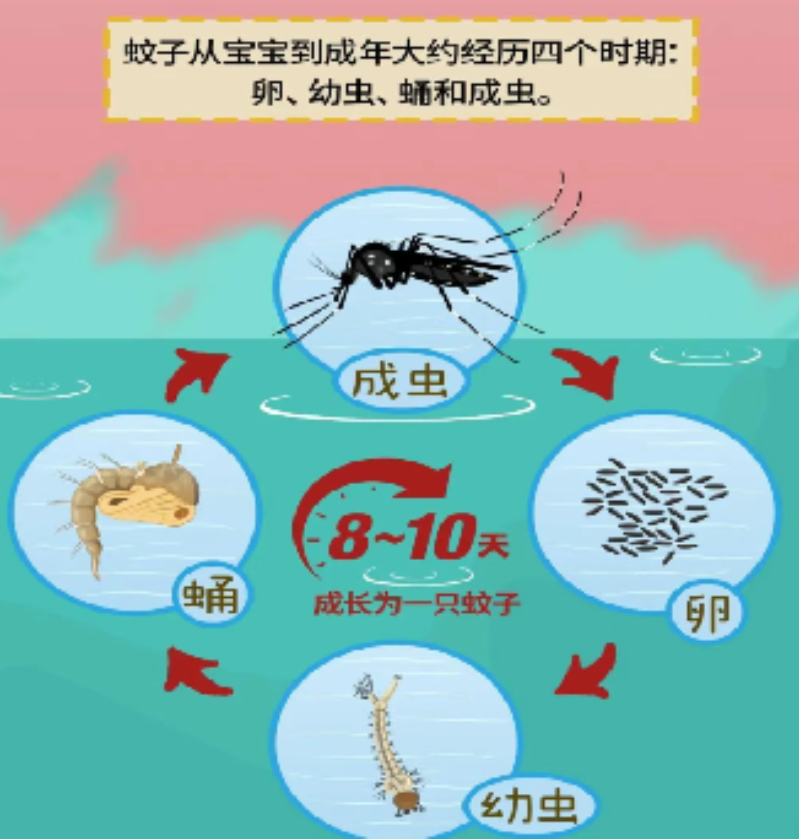 微信图片_2026-09-24_103916_669.png