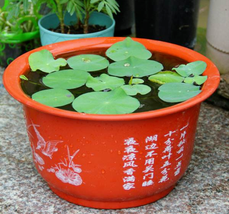 微信图片_2026-09-24_103936_290.png