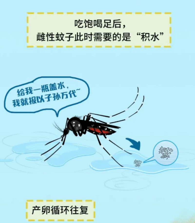 微信图片_2026-09-24_103942_313.png