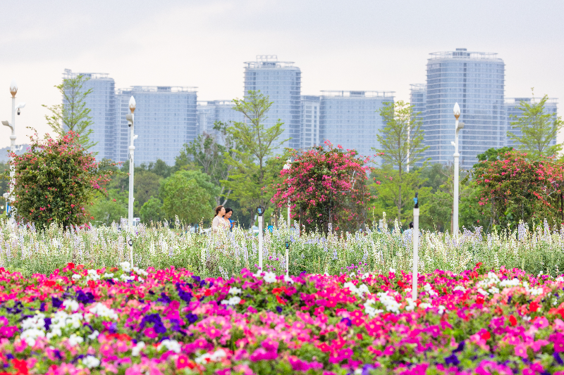花-2026年-2026.04.08花海里鲜花，黄生摄2K9A4095.jpg