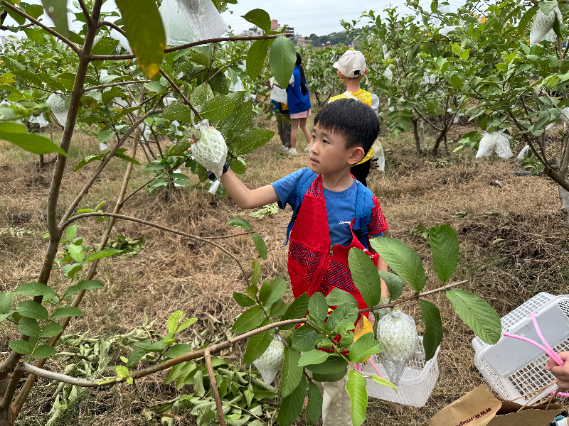 农业公园摘果活动.jpg