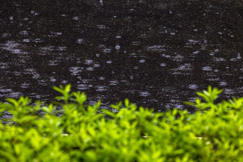 下雨景色风景图图片