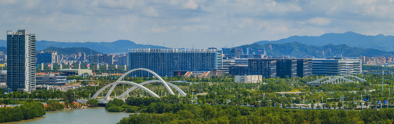 新区全景图.jpg